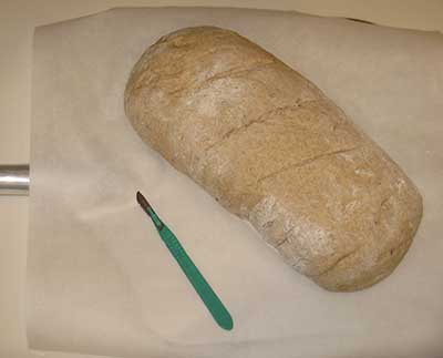Unbaked loaf after slashing the top.